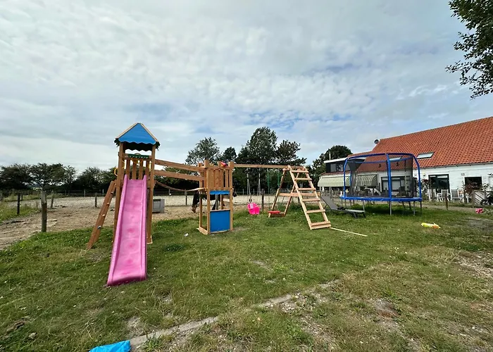 Het Tinkerparadijs, Paarden, Rust En Ruimte.