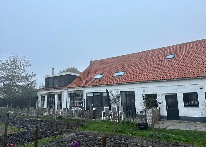 Het Tinkerparadijs, Paarden, Rust En Ruimte.