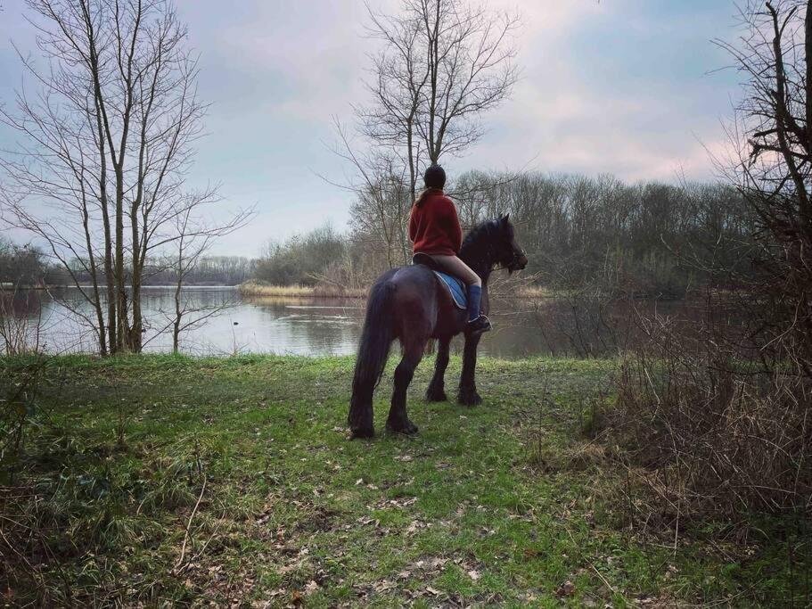 Apartamento Het Tinkerparadijs, Paarden, Rust En Ruimte. *
