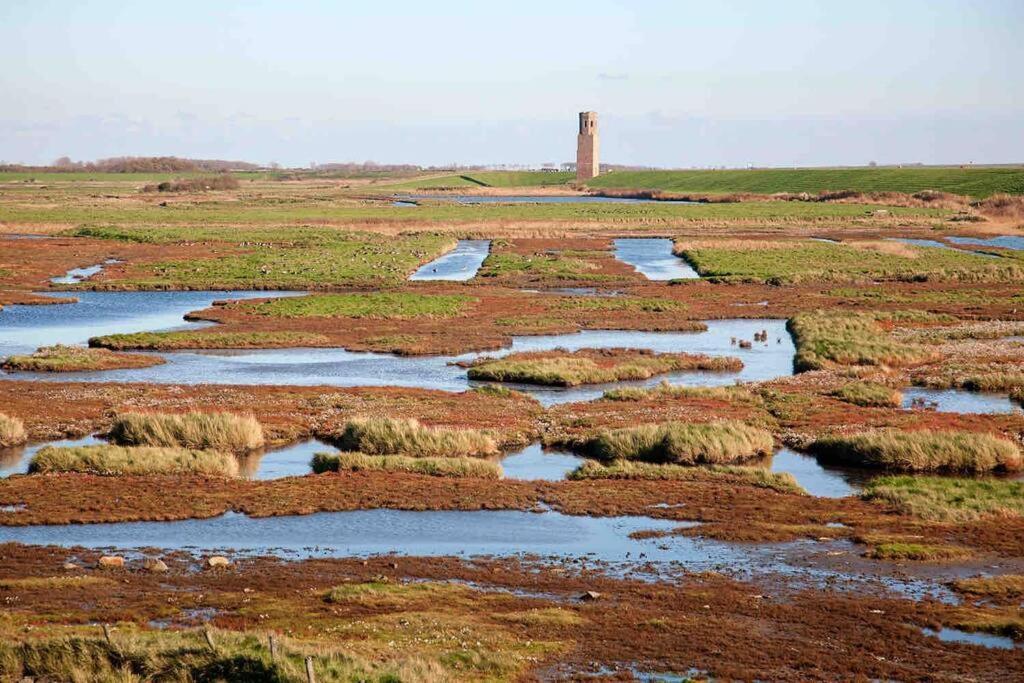 Het Tinkerparadijs, Paarden, Rust En Ruimte. * Burgh-Haamstede