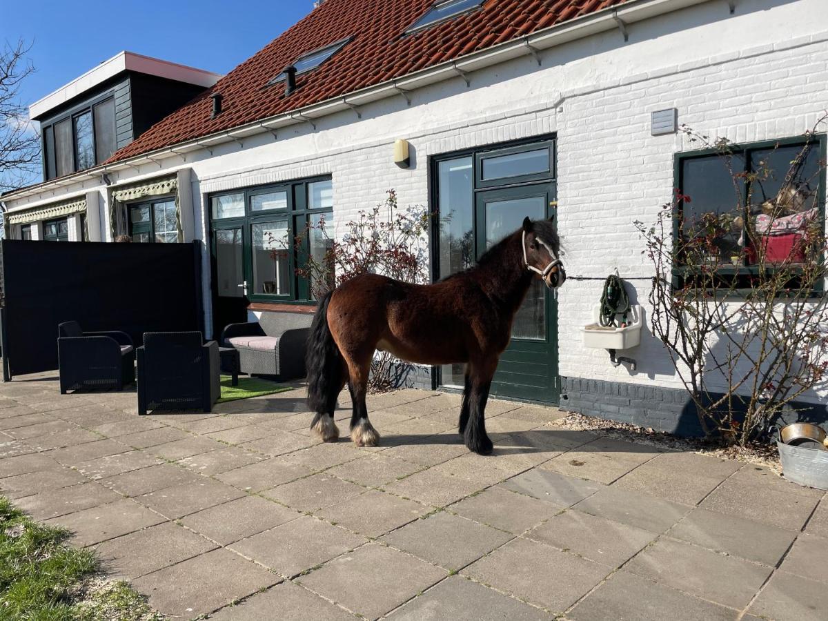 Apartamento Het Tinkerparadijs, Paarden, Rust En Ruimte. Burgh-Haamstede
