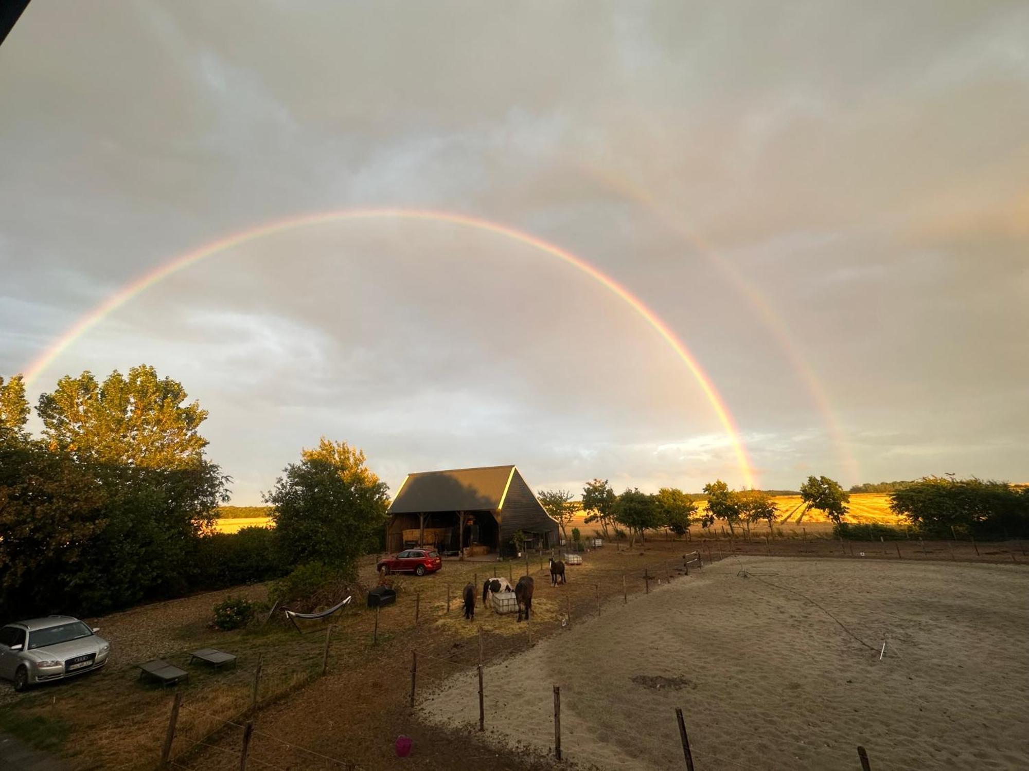 Het Tinkerparadijs, Paarden, Rust En Ruimte. * Burgh-Haamstede