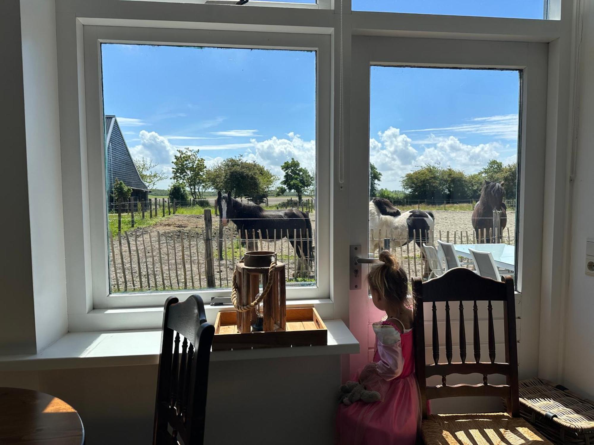 Apartamento Het Tinkerparadijs, Paarden, Rust En Ruimte. Burgh-Haamstede